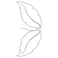 sunflower leaf border 001